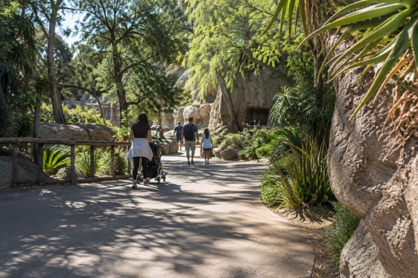 San Diego Zoo Admission Ticket