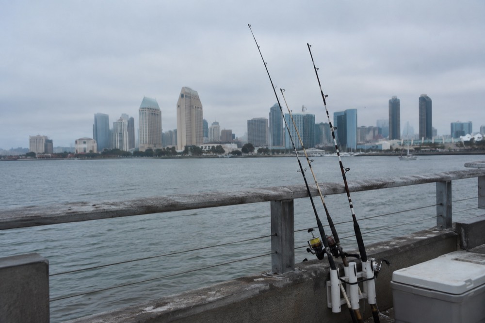 Fishing rods resting in a holder along a pier rail with the city skyline behind