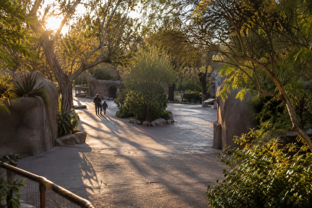 An empty zoo plaza near closing time with long shadows across the path