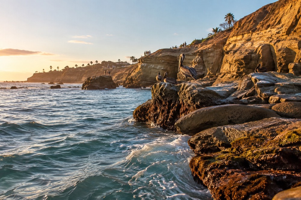 Turquoise water and sandstone cliffs at La Jolla Cove with pelicans resting on the rocks