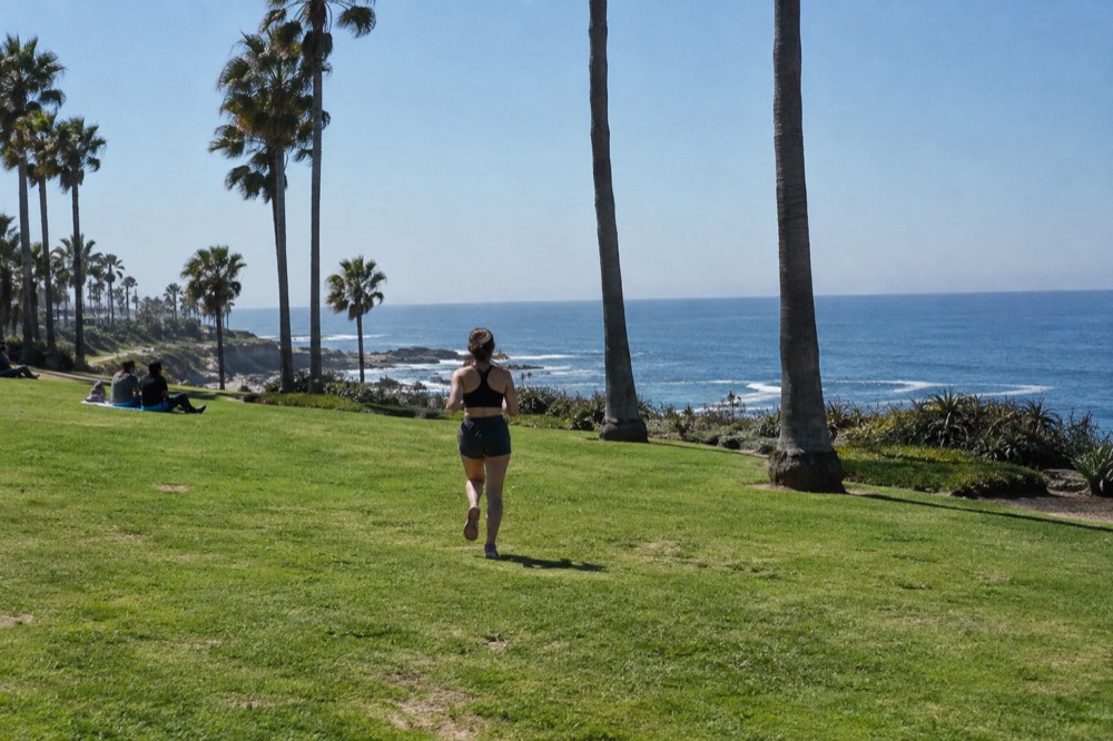 Grassy Ellen Browning Scripps Park above La Jolla Cove with palm trees and the ocean beyond