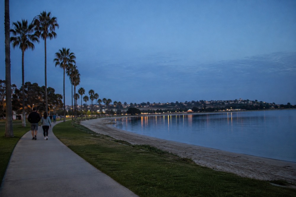 A paved waterfront path beside the bay with palm trees and calm water
