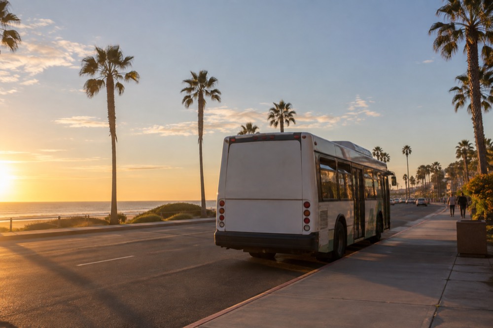City bus parked at a sunny street stop near palm-lined beach streets