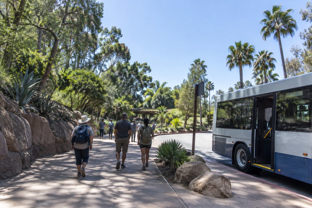 A city bus stopped at a signposted curb near a park entrance with palm trees