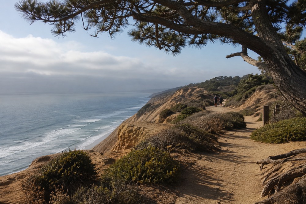 Coastal trail along the top of sandstone bluffs with low marine cloud