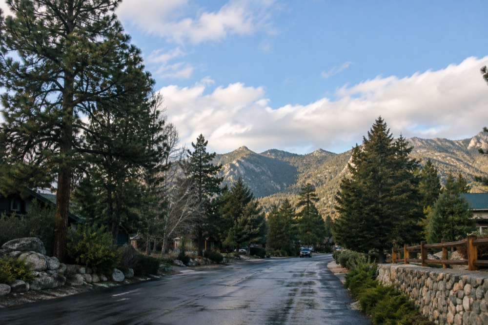 Wooden signpost at a trail junction surrounded by pine forest