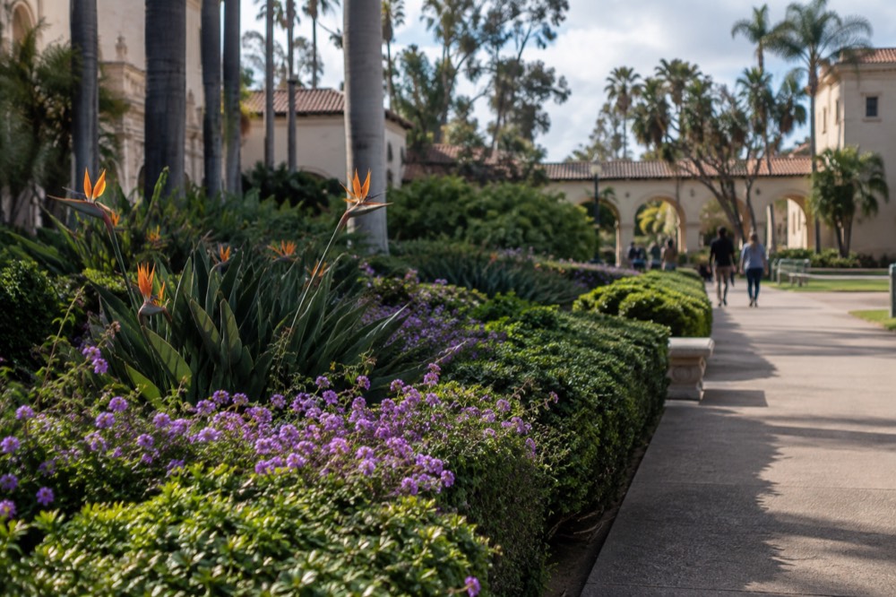 Garden promenade and historic buildings in Balboa Park in late afternoon light
