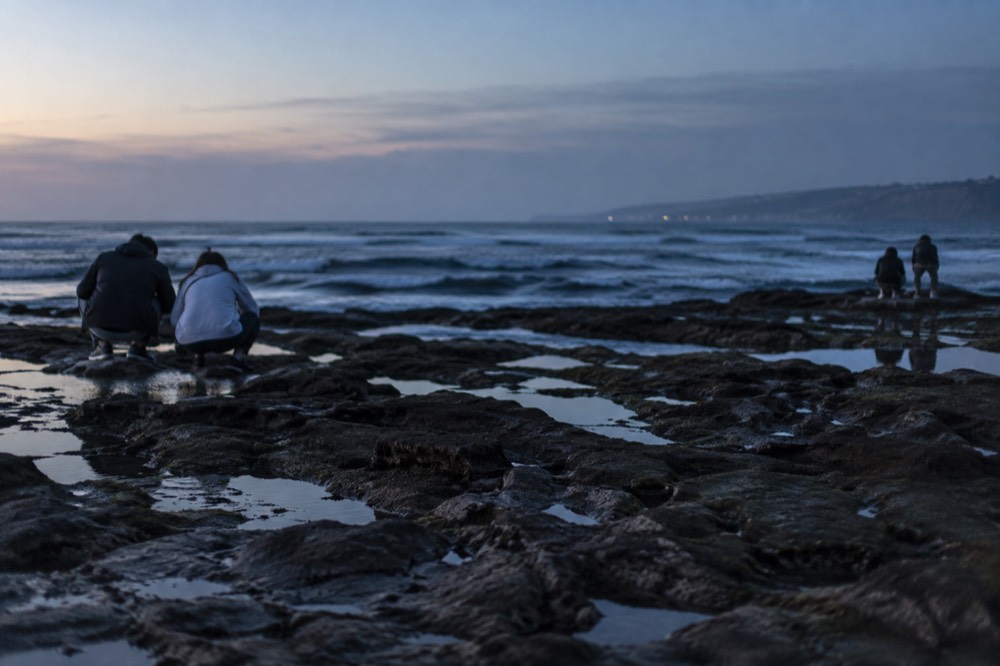 Visitors crouching quietly at the edge of a wide exposed reef with tide pools