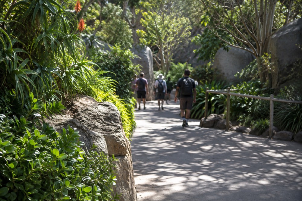 A paved walkway winding past lush green landscaping inside the San Diego Zoo