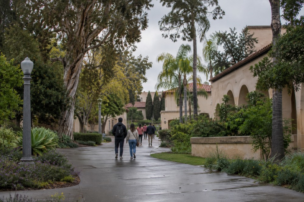 Visitors walking a tree-lined path in Balboa Park under overcast sky