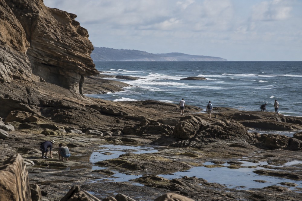 A tidepool area at the base of coastal cliffs with the ocean beyond