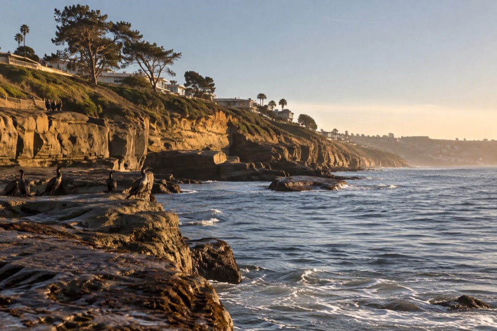The La Jolla coastline with cormorants on the rocks and calm winter surf