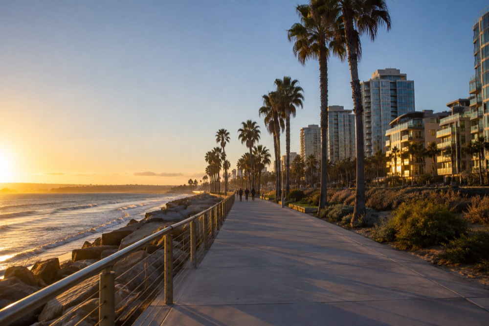 An empty boardwalk along the ocean with palm trees and a pale blue sky