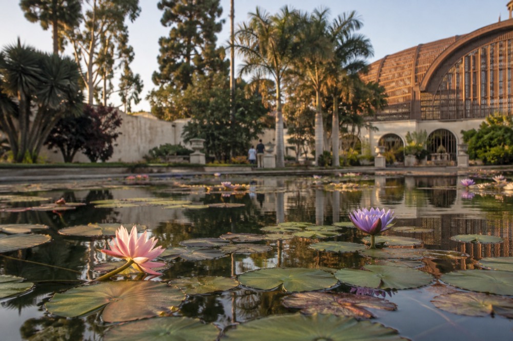A lily pond in front of a lath botanical building in a park
